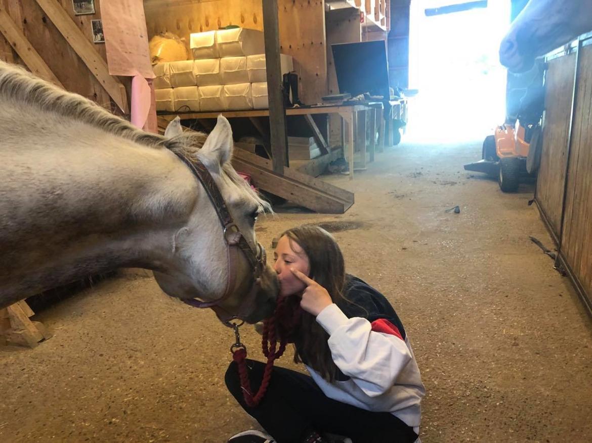 DSP Freja(Leif) billede 5