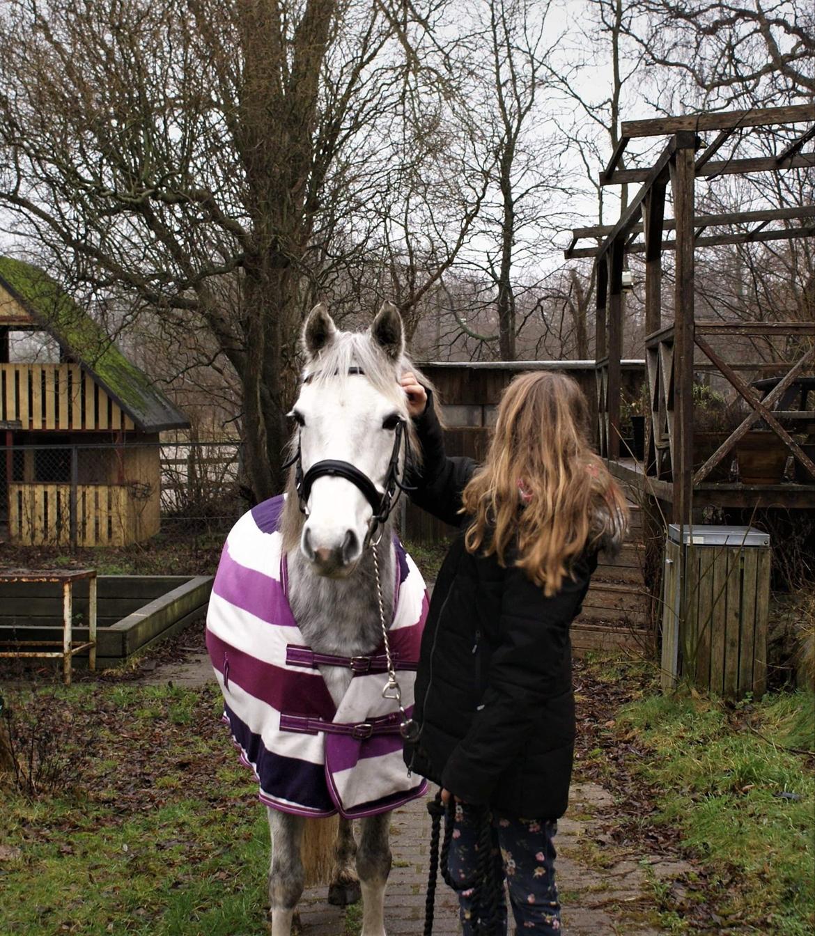 DSP Freja(Leif) billede 7