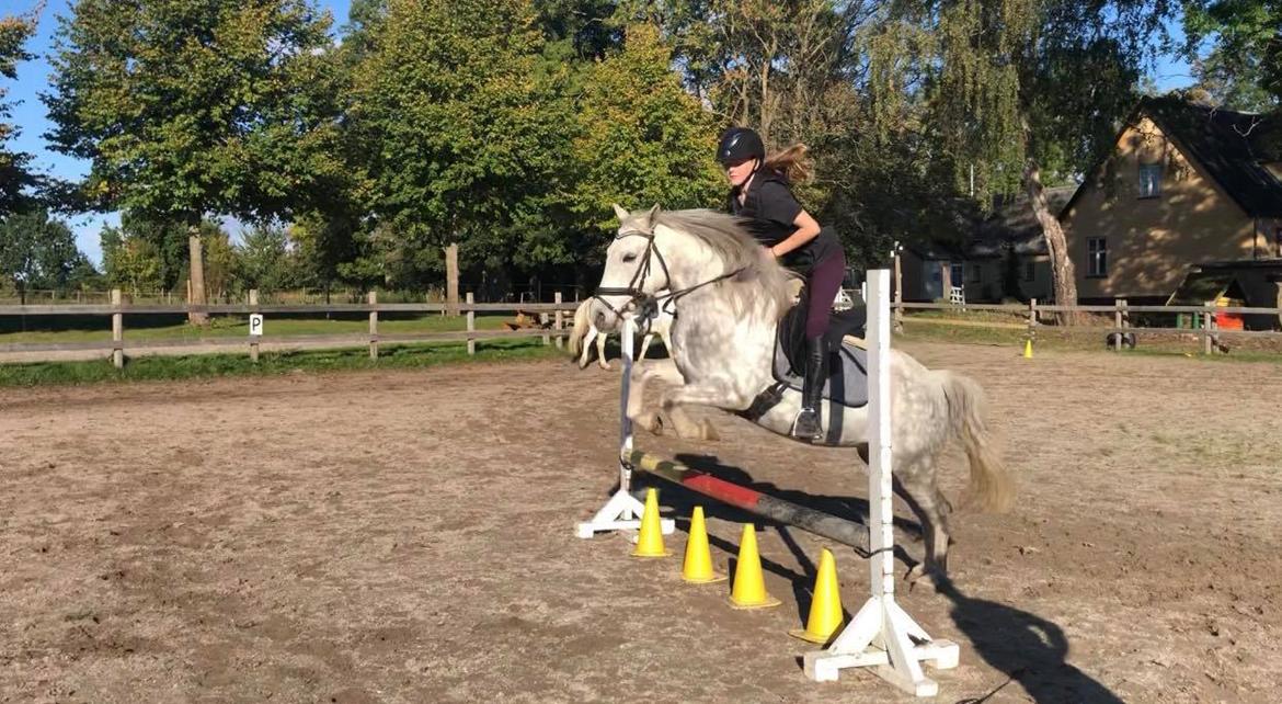 DSP Freja(Leif) billede 2