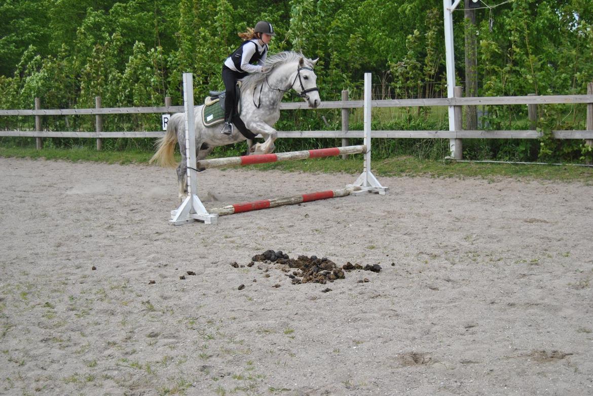 DSP Freja(Leif) billede 9