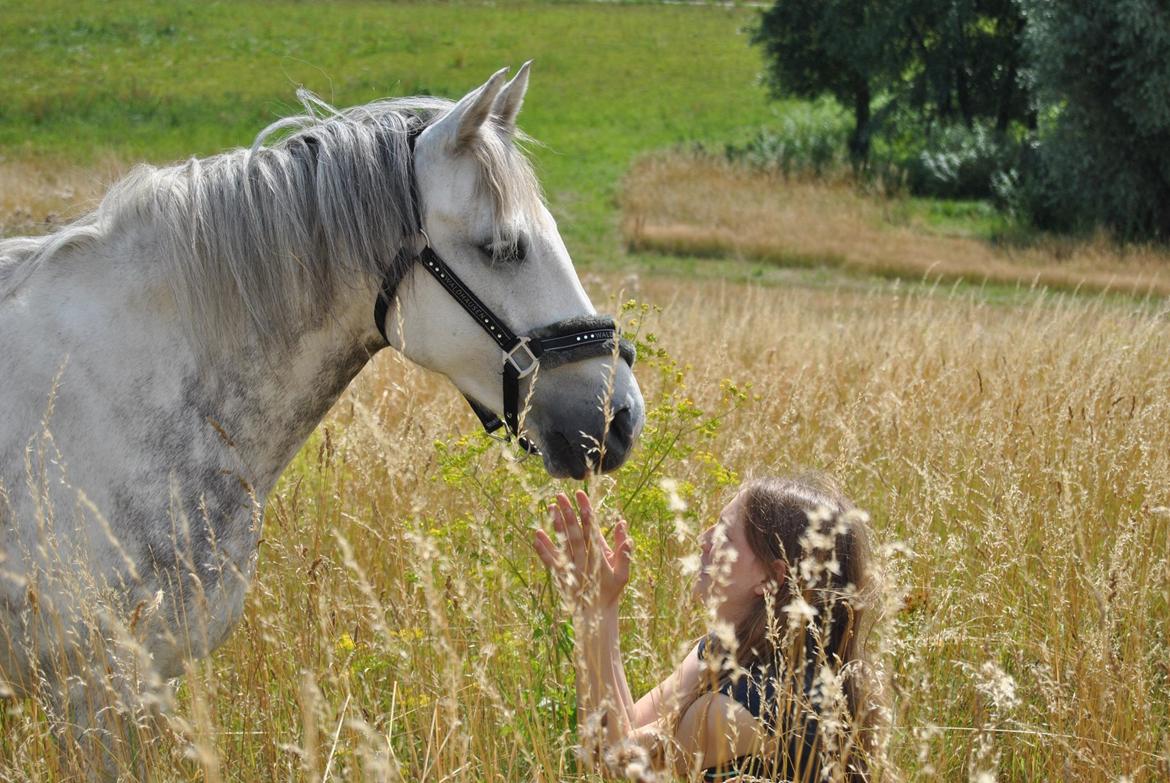 DSP Freja(Leif) billede 10