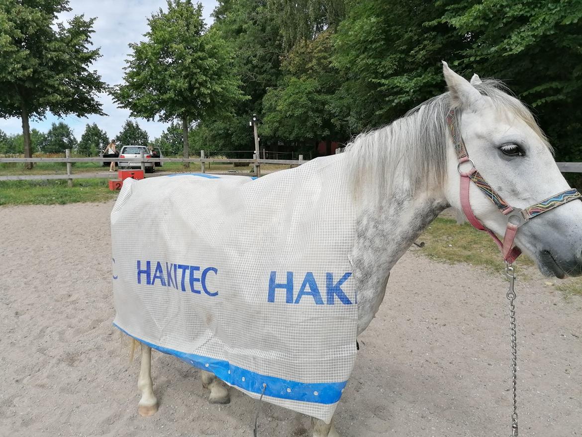 DSP Freja(Leif) billede 16