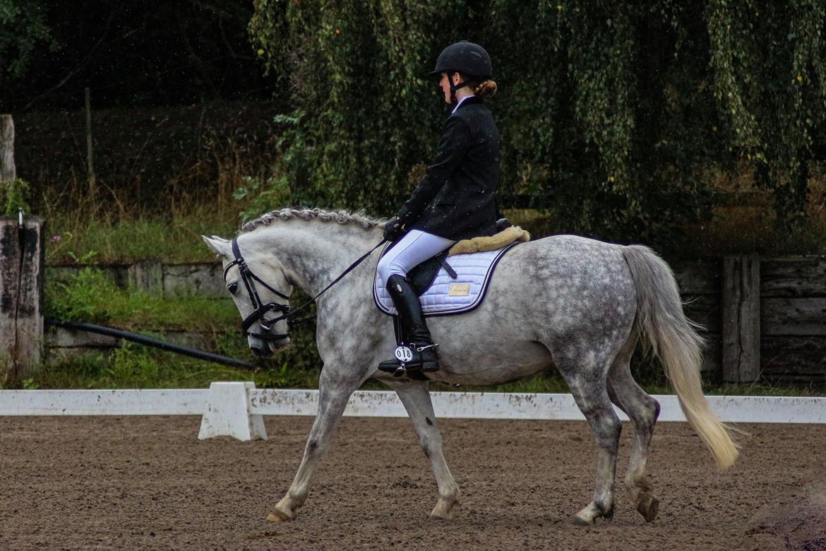 DSP Freja(Leif) billede 20