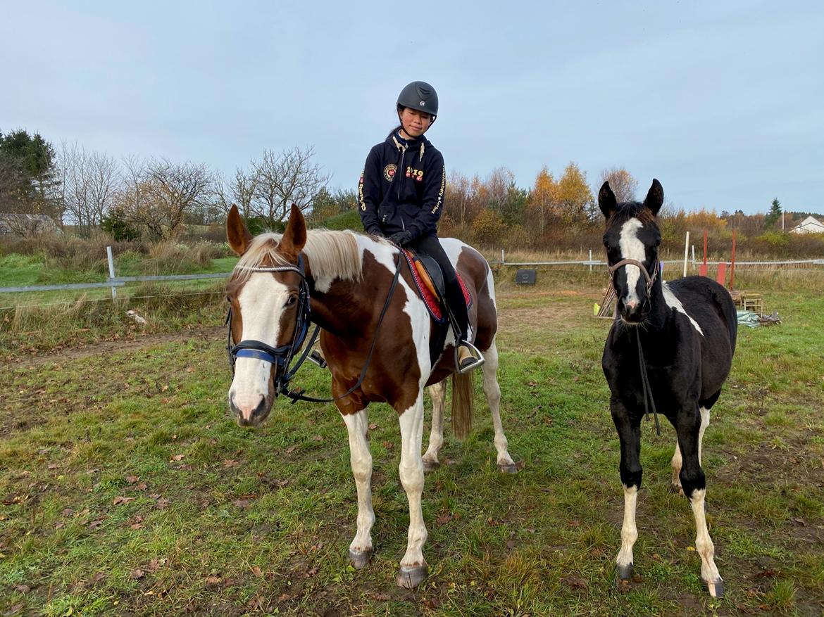 Pinto Kilgast's Angel billede 2