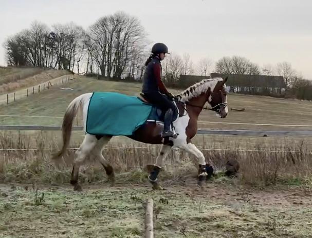 Pinto Kilgast's Angel billede 8