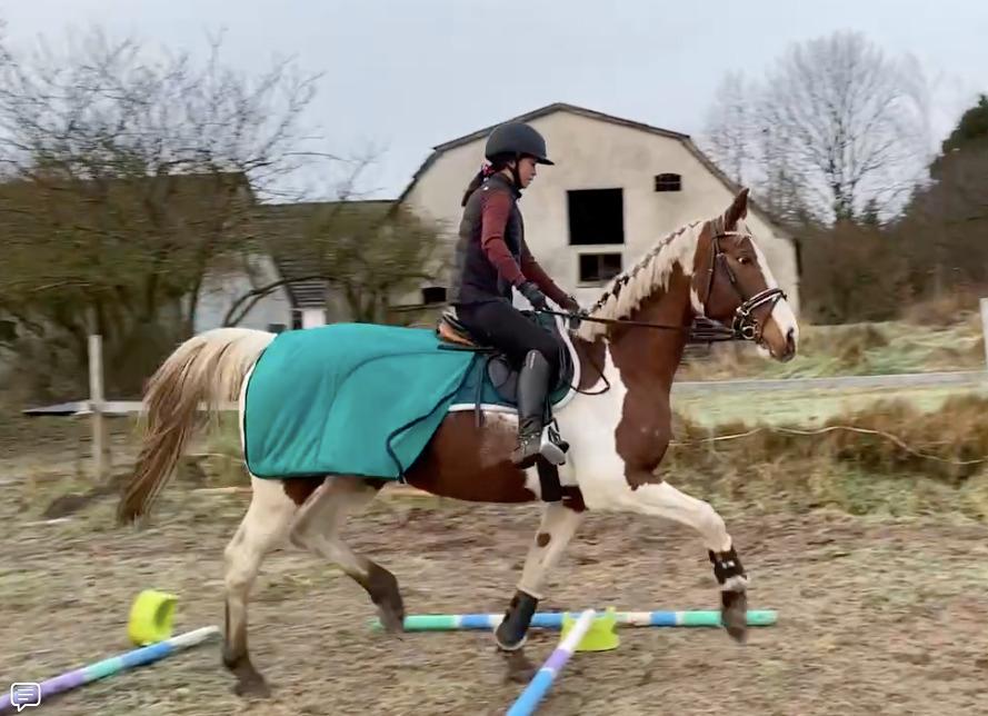 Pinto Kilgast's Angel billede 3