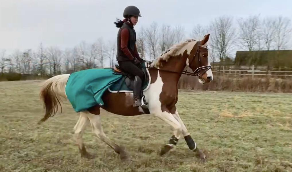 Pinto Kilgast's Angel billede 5