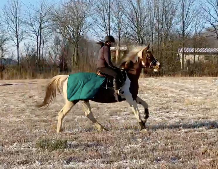 Pinto Kilgast's Angel billede 1