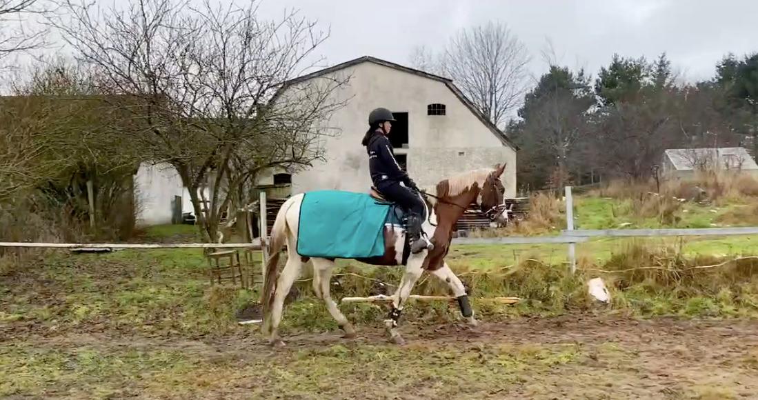 Pinto Kilgast's Angel billede 11