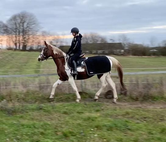 Pinto Kilgast's Angel billede 12