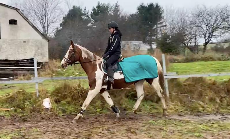 Pinto Kilgast's Angel billede 13