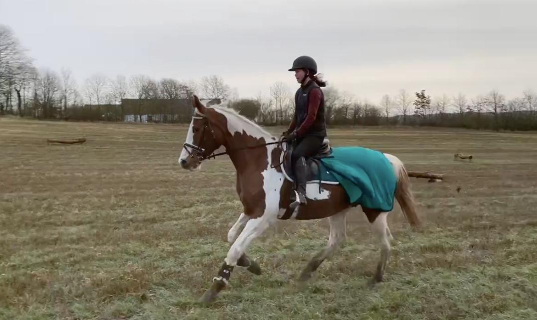 Pinto Kilgast's Angel billede 9