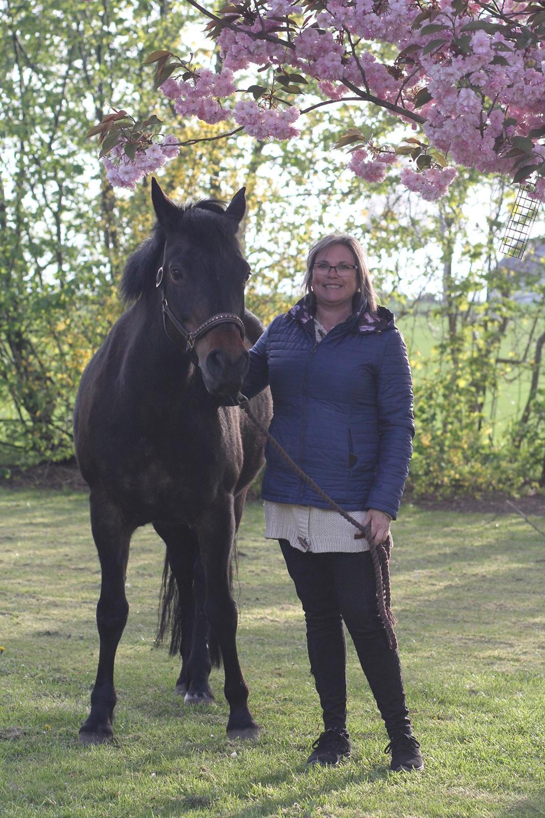 New Forest Rosie (Little Luck) billede 7