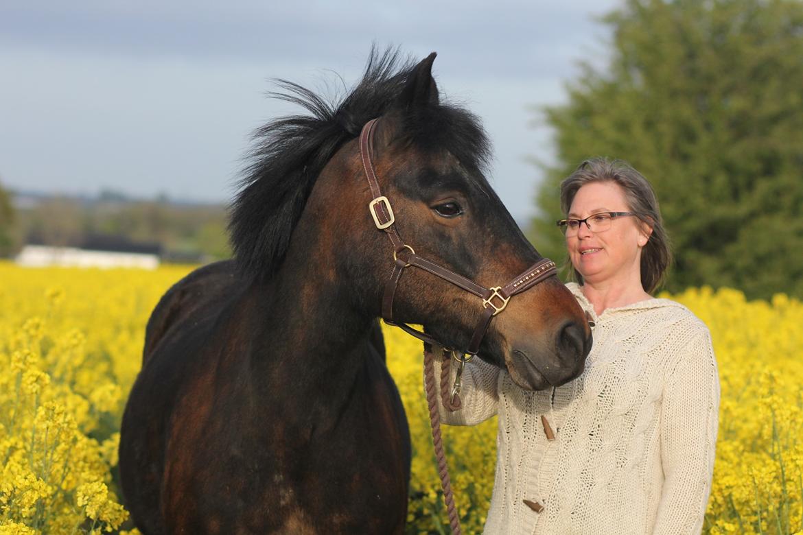 New Forest Rosie (Little Luck) billede 3