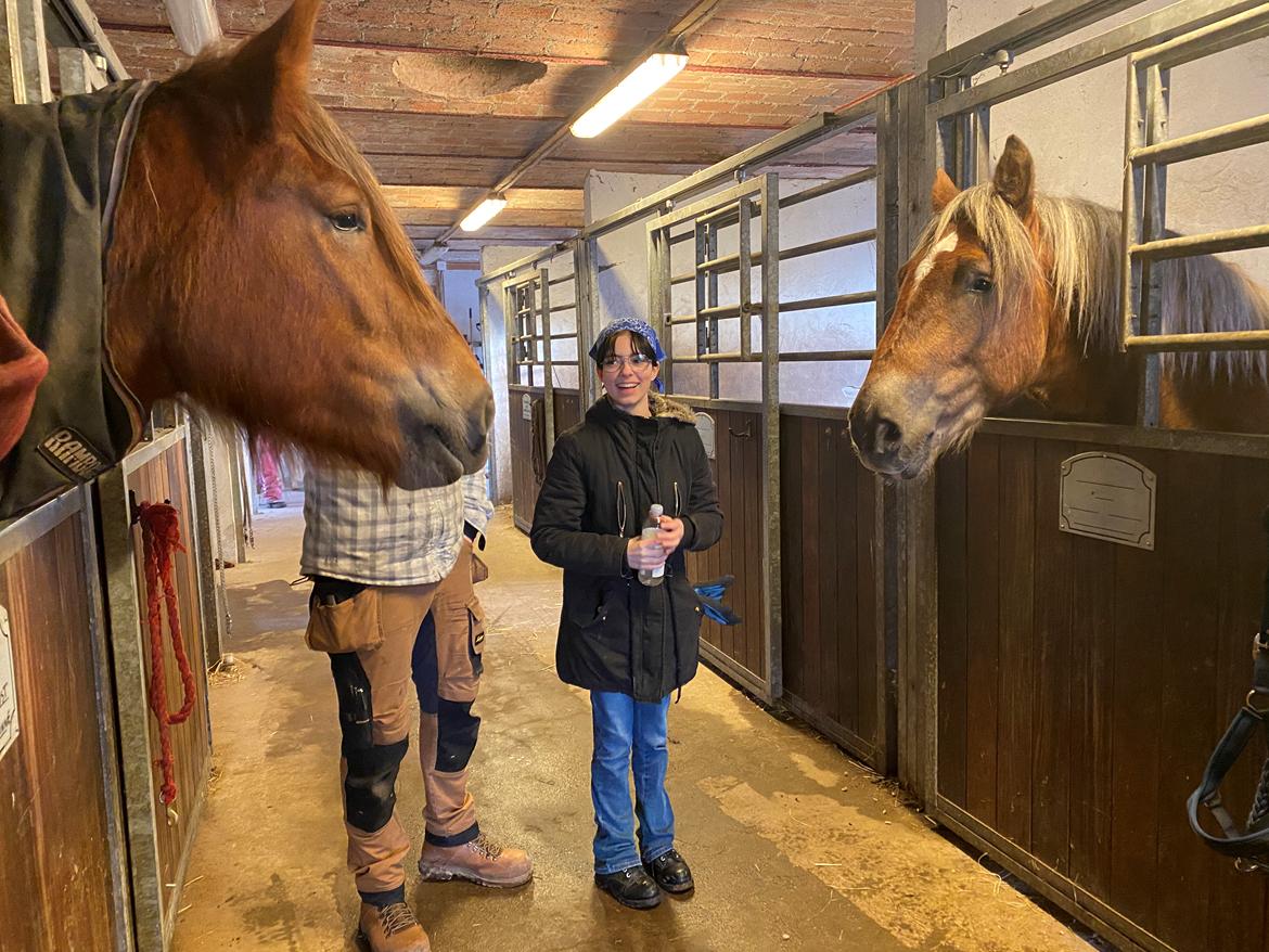 Jyde Lillebror (Birk) billede 2