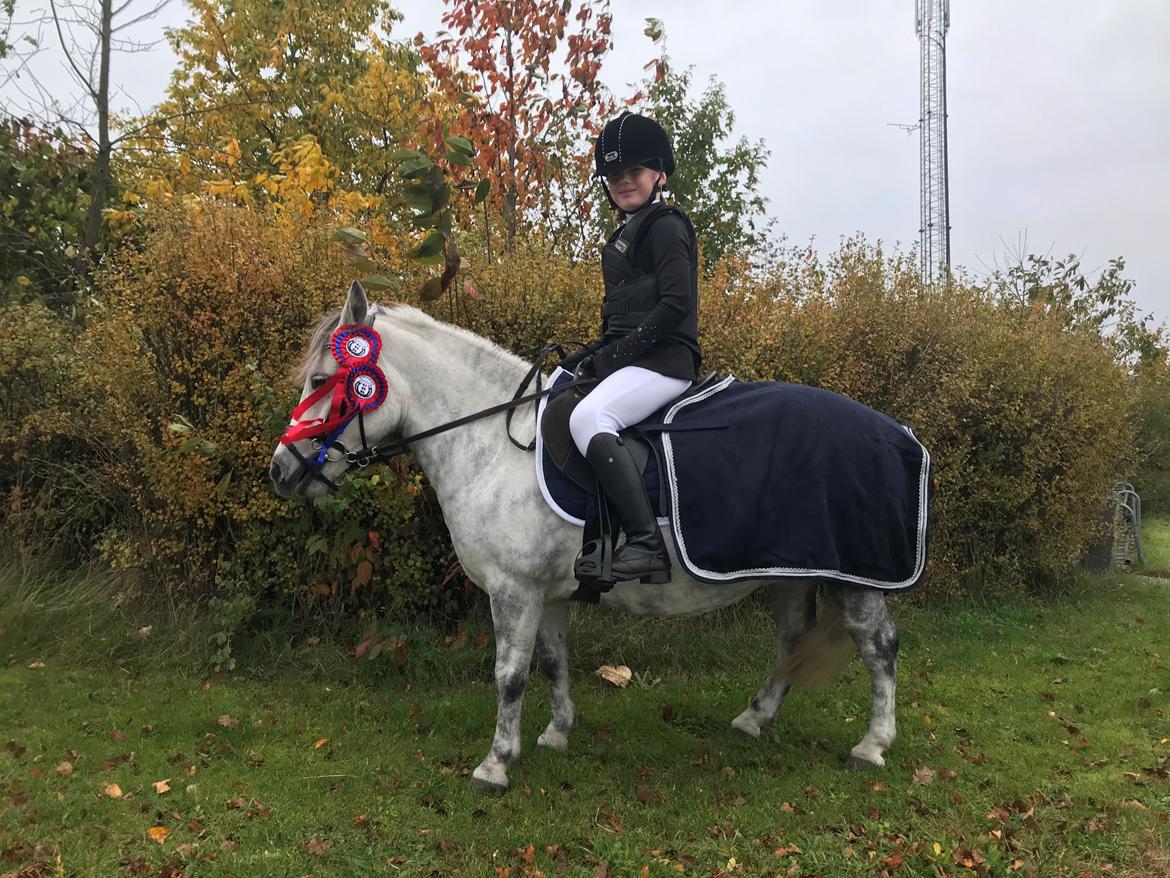 Anden særlig race Høgfeldt's Rapunsel<3 billede 19