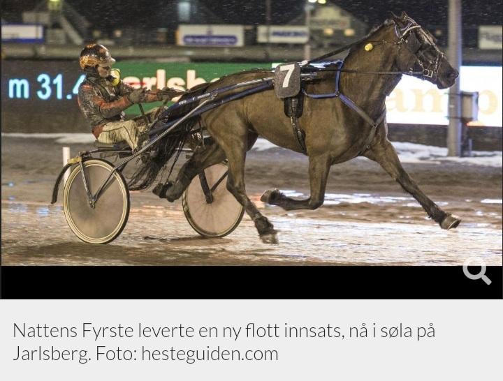 Norsk Døle Nattens Fyrste SOLGT billede 6
