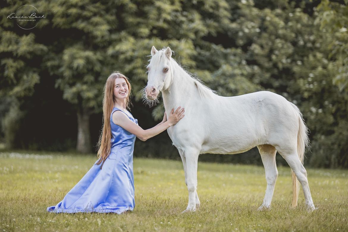 Anden særlig race Perle billede 1