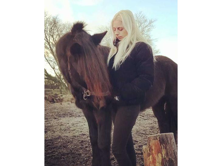 {{currentPhoto.altText}} billede {{currentPhoto.number}}