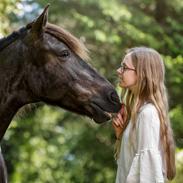 Anden særlig race Østerstrovs-Trups Sisco