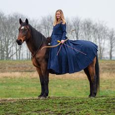 Anden særlig race Flicka <3 | Himmelhest 