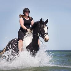 Oldenborg Neubran's Giant Gangster