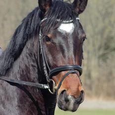 Oldenborg Ullits Sofie 