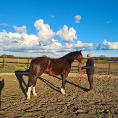 Oldenborg Ullits Sofie 