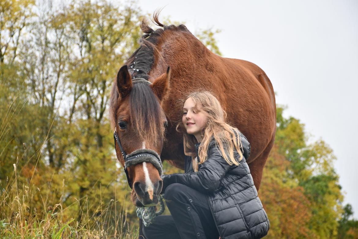 New Forest Tai tan tiki (Gamle) - Mit ynglings billed også fra få minutter før hun tog her fra. billede 18