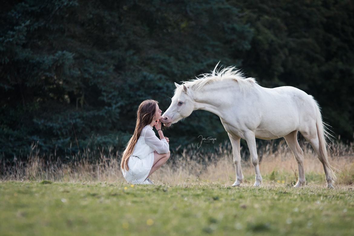 Anden særlig race Perle billede 18
