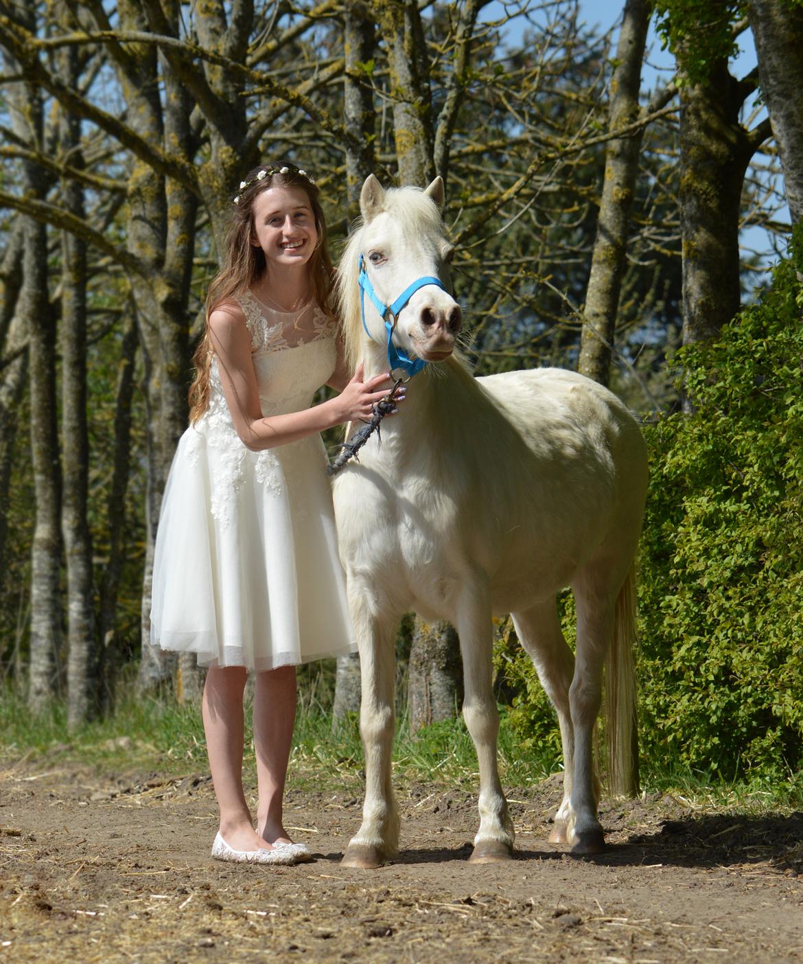 Anden særlig race Perle - Perle til min konfirmation. Foråret 2017 billede 16