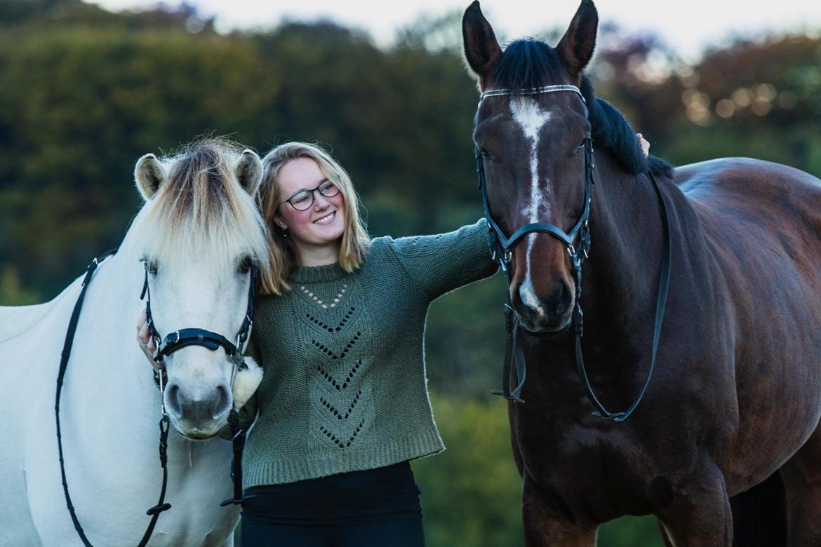 Dansk Varmblod Quite alone billede 10