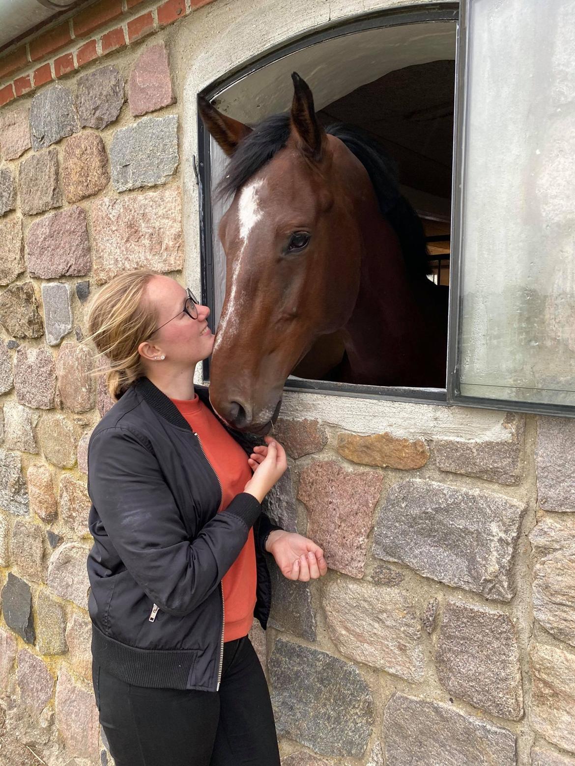 Dansk Varmblod Quite alone billede 12