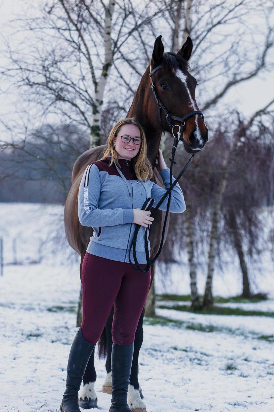 Dansk Varmblod Quite alone billede 14