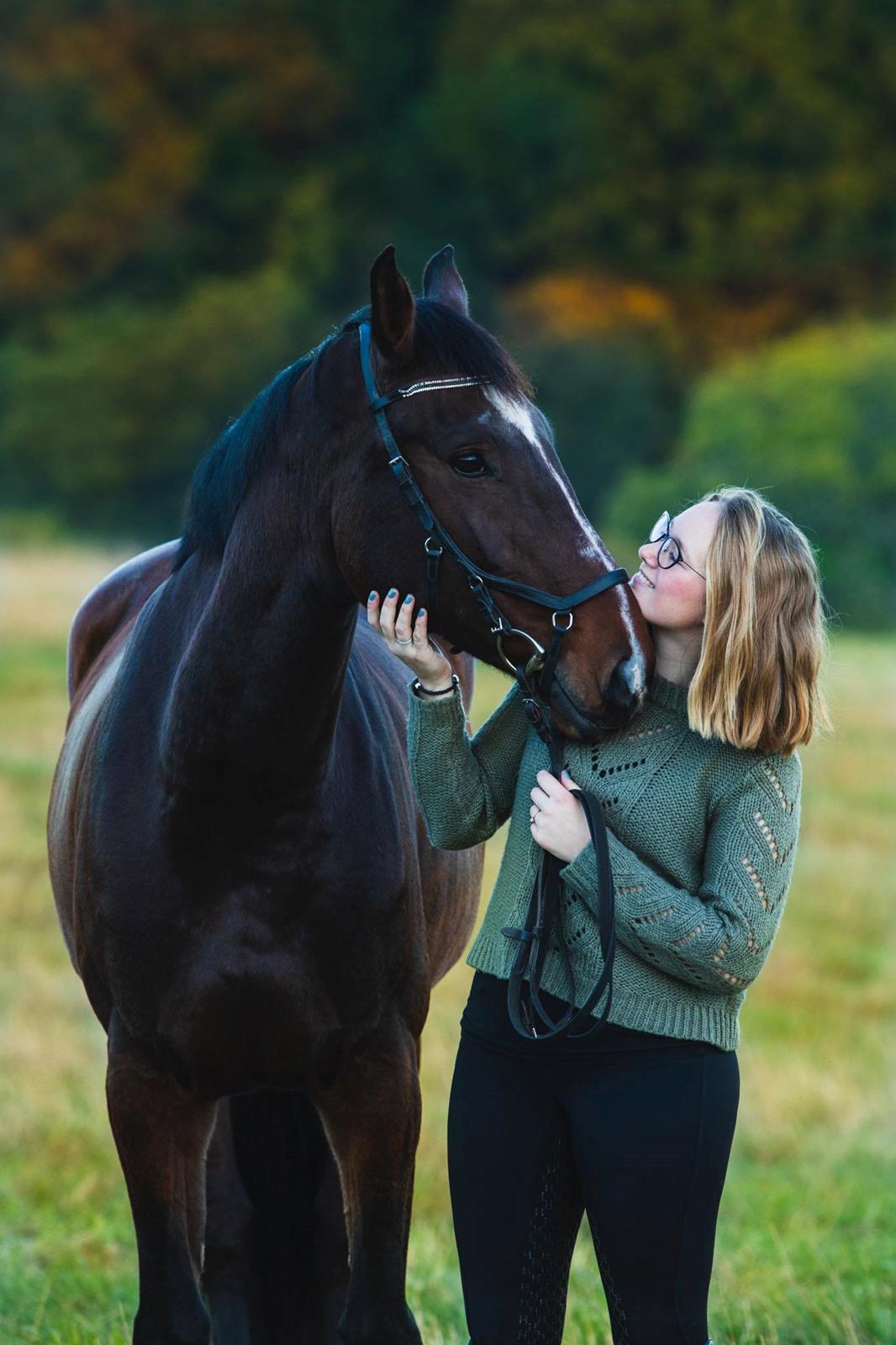 Dansk Varmblod Quite alone billede 18