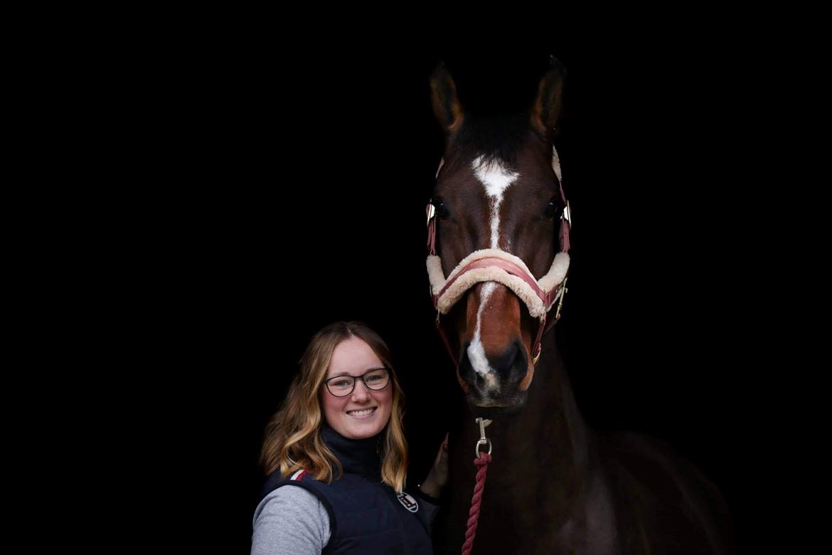 Dansk Varmblod Quite alone billede 15