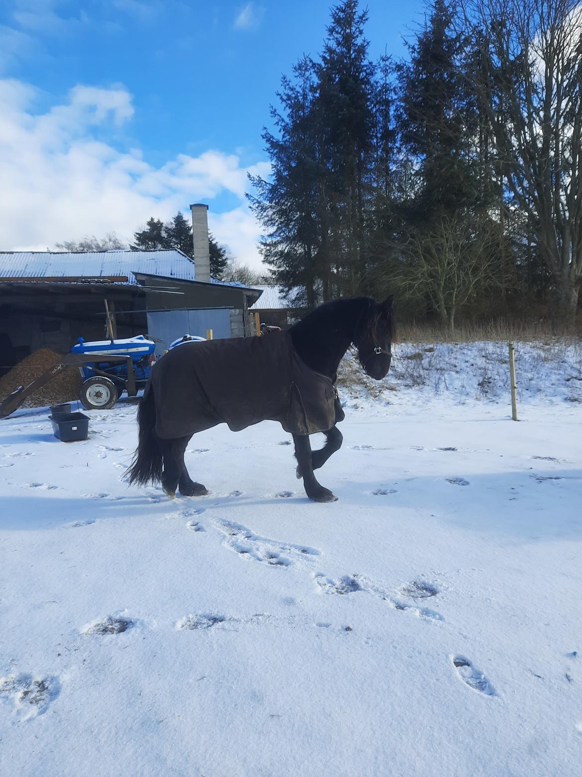 Frieser Ghost billede 9