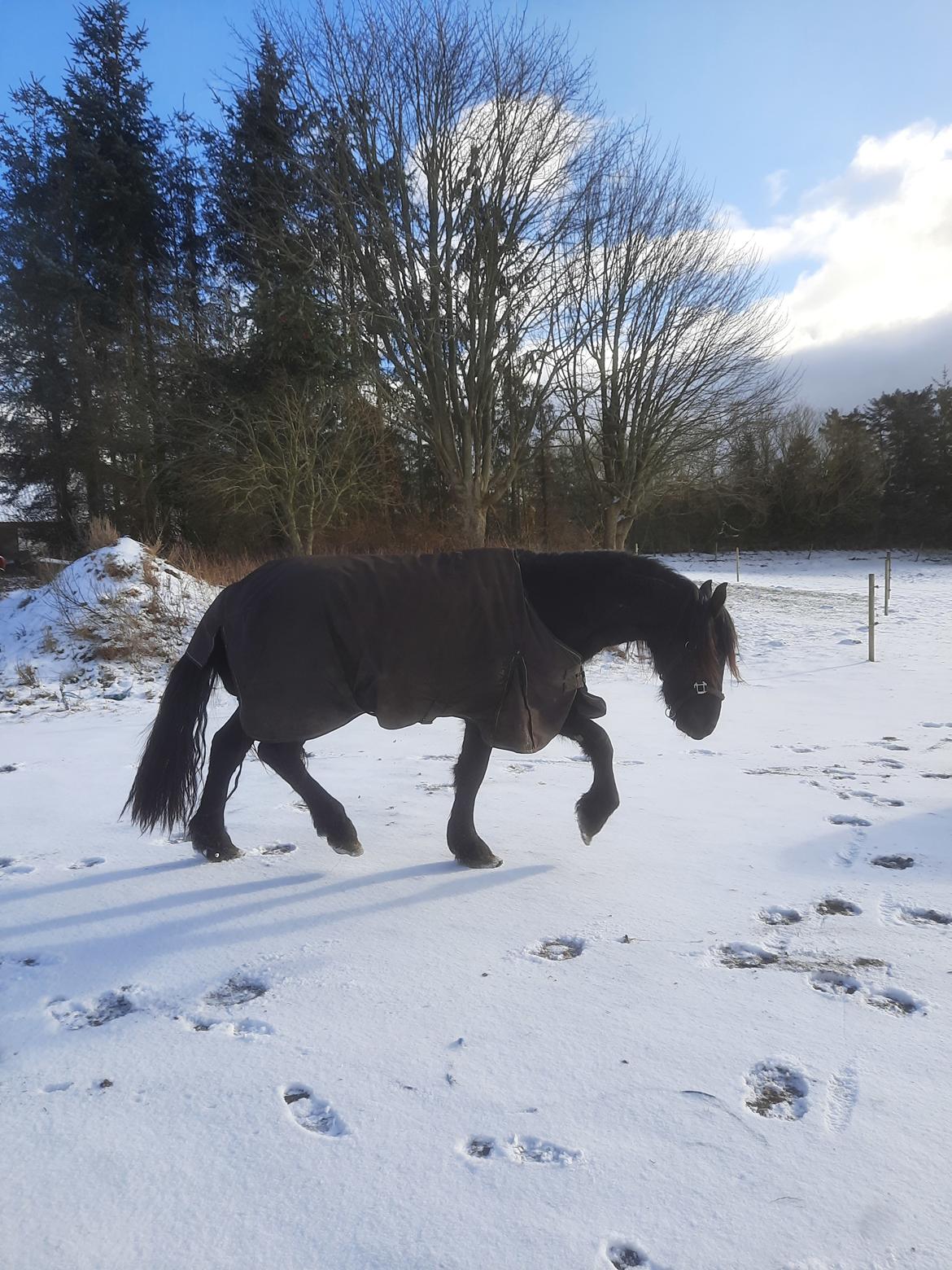 Frieser Ghost billede 10