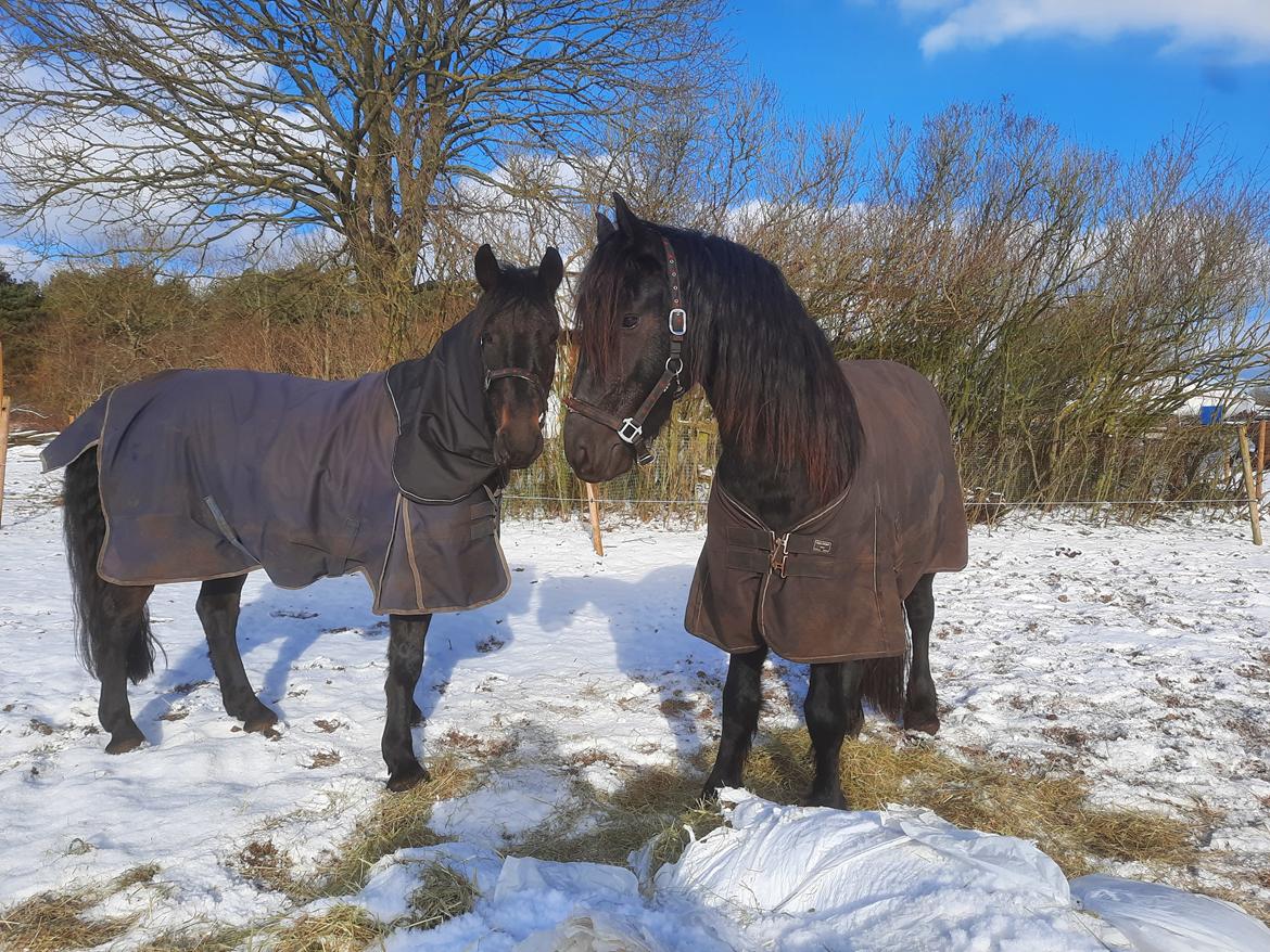 Frieser Ghost billede 11