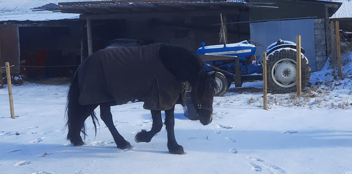 Frieser Ghost billede 12