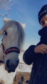 Fell pony Spirhøjs Nova  billede 7