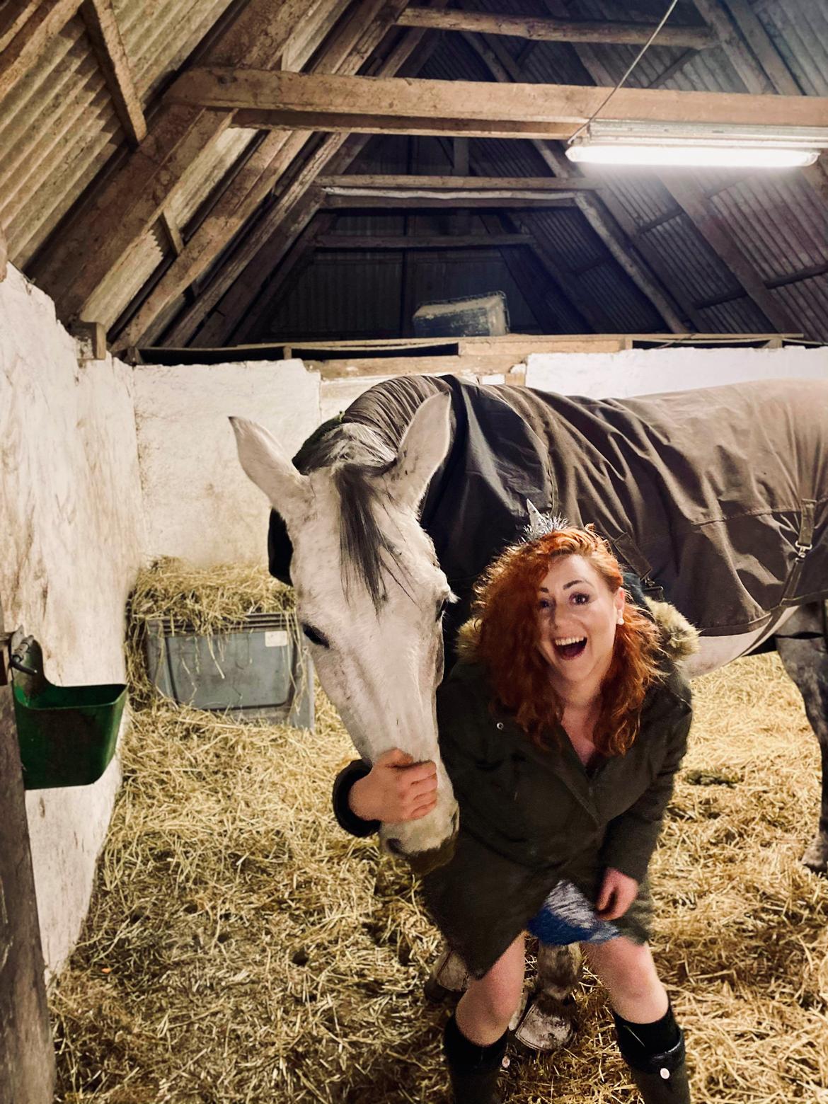 Dansk Varmblod Imatric (solgt) billede 13