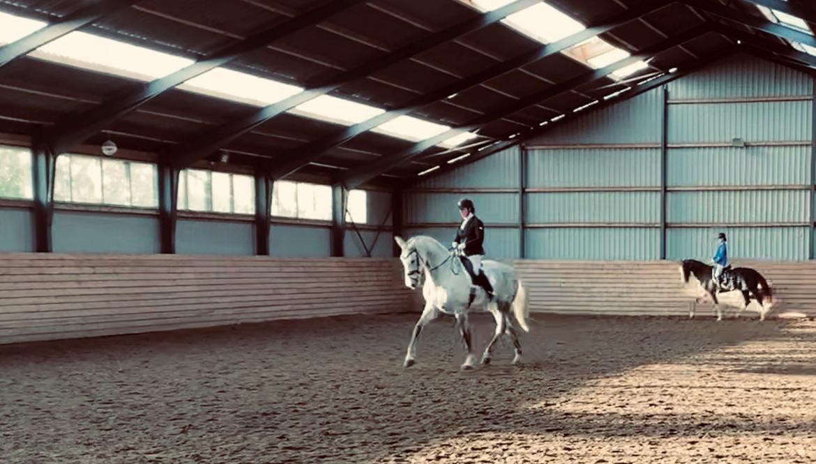 Dansk Varmblod Imatric (solgt) billede 20