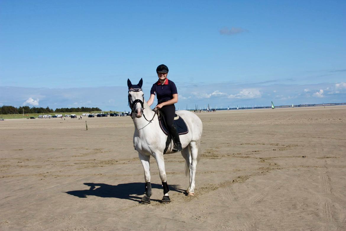 Holstener La-canyo billede 3