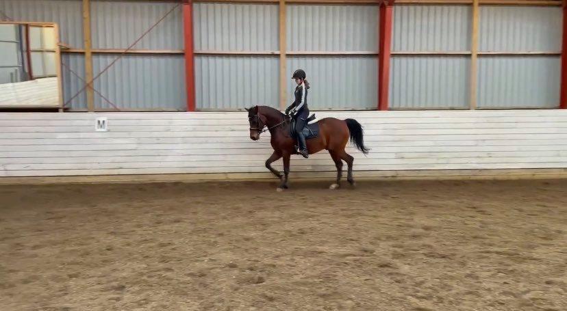 DSP Boliviano (Cas) billede 1