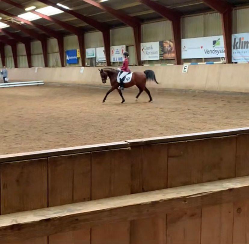 DSP Boliviano (Cas) billede 10