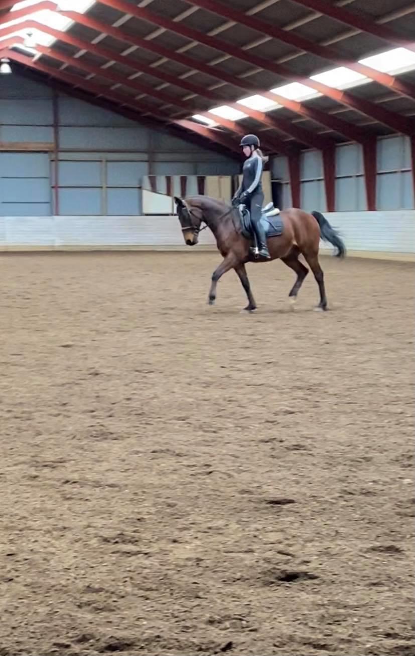 DSP Boliviano (Cas) billede 2