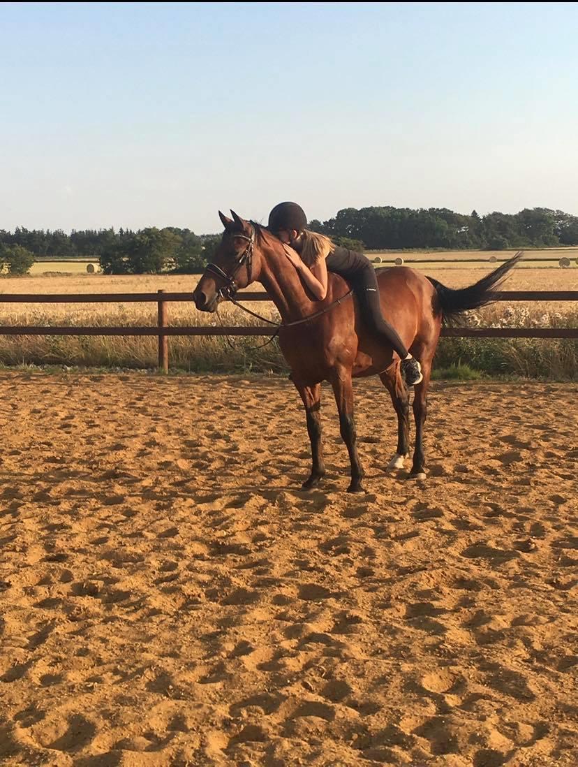 DSP Boliviano (Cas) billede 11