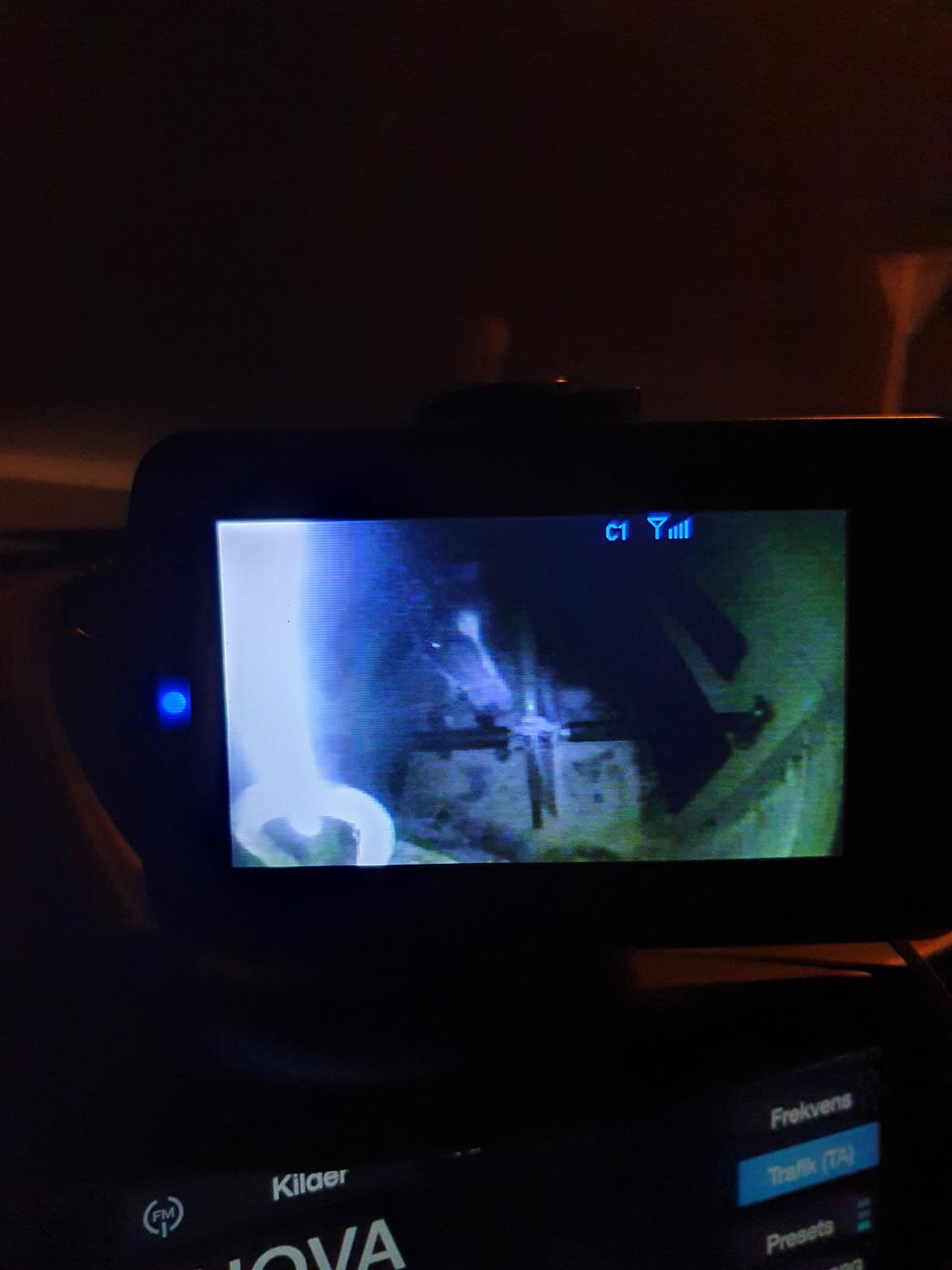 Welsh Partbred (Sec F) Struntze's fabulous painted billede 14