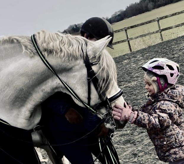 Lusitano Gladiador billede 25